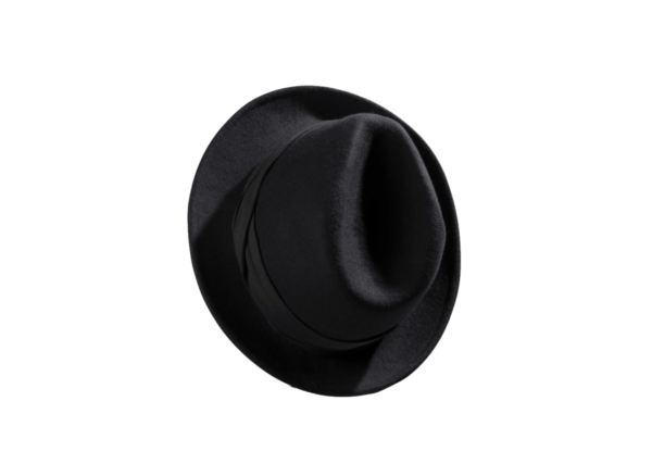 Fashionable Fedora Hat